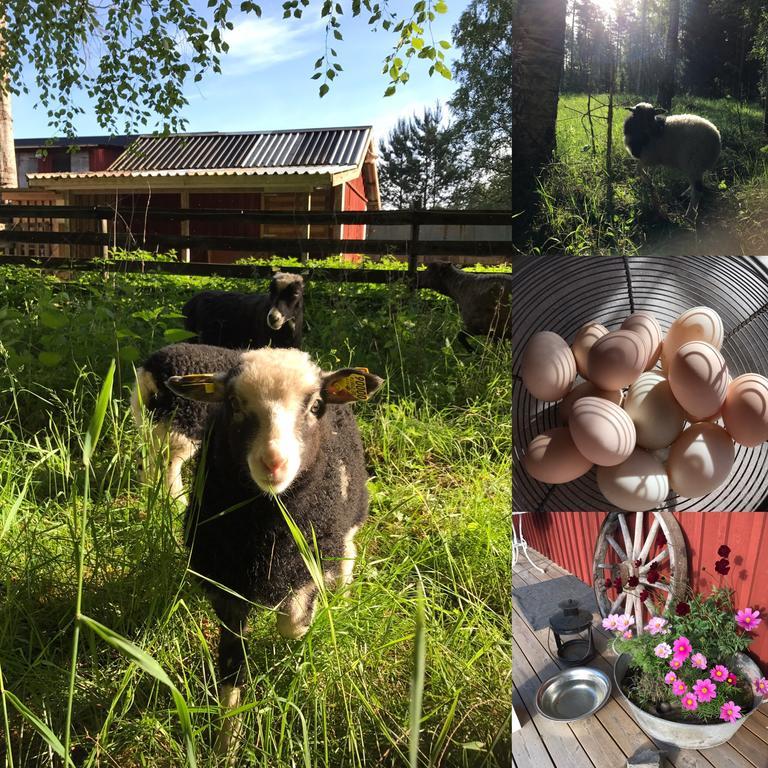 Lillemyrsgården Pensionat Forshaga Exteriör bild
